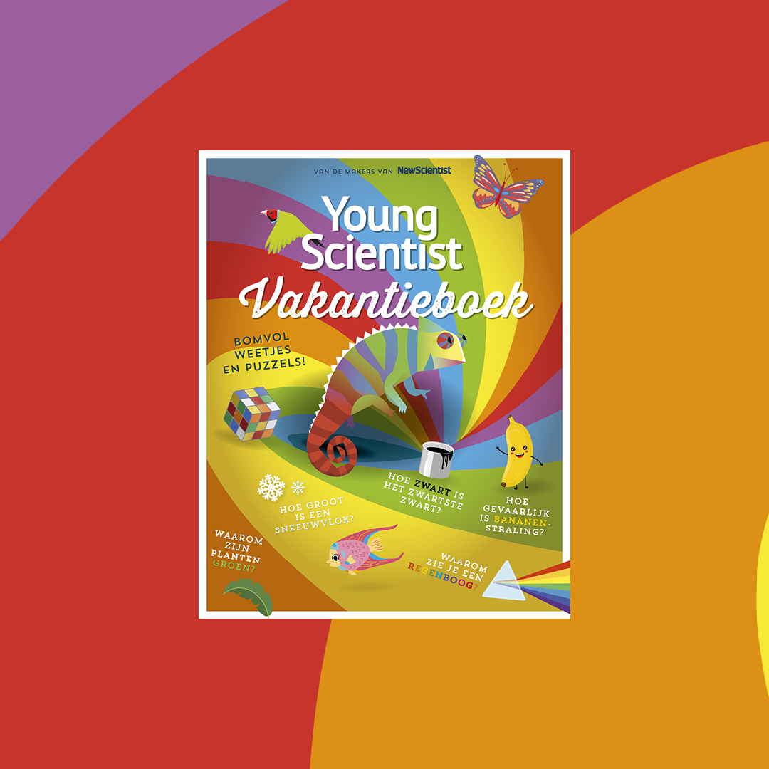 Omslag 'Young Scientist Vakantieboek'