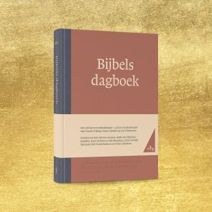Boekomslag 'Bijbels dagboek'