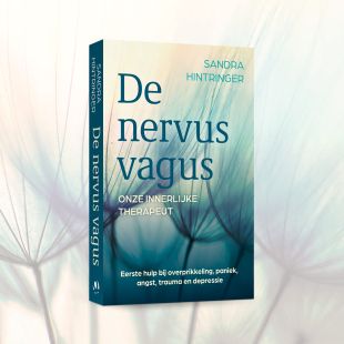Boekomslag 'De nervus vagus'