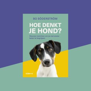 Boekomslag 'Hoe denkt je hond?'